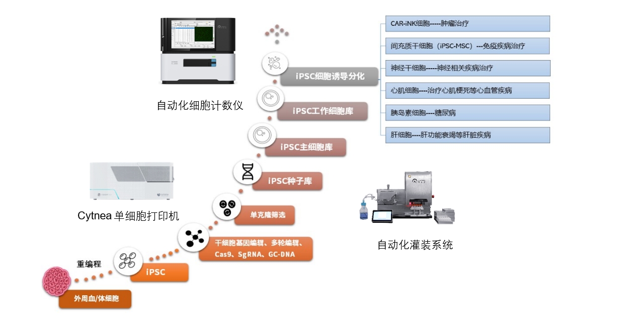 ipsc干细胞单克隆筛选与建库解决方案