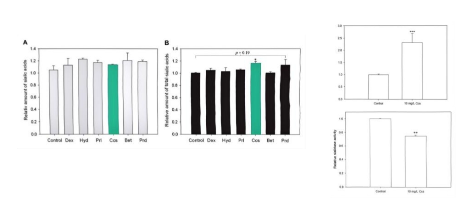 简要论述抗体药糖基化的重要意义
