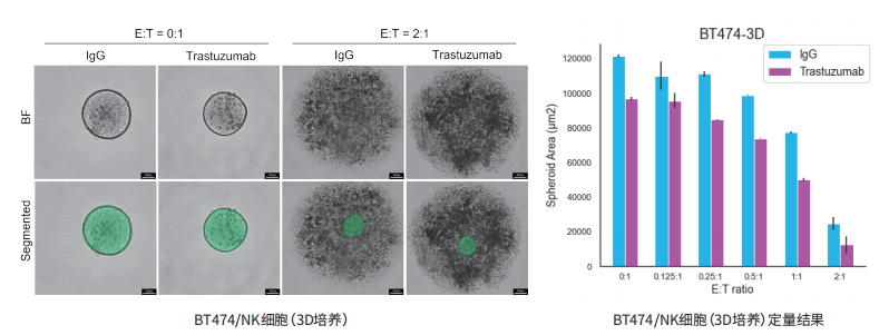 图片.png 图片.png