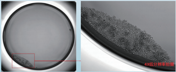 图片.png 图片.png