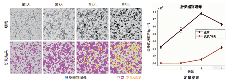 图片.png 图片.png