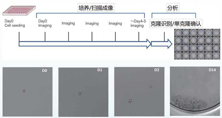 图片.png 图片.png