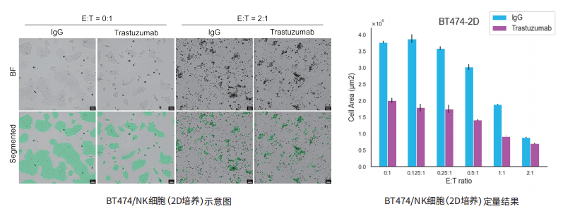 图片.png 图片.png