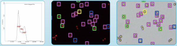 image.png image.png
