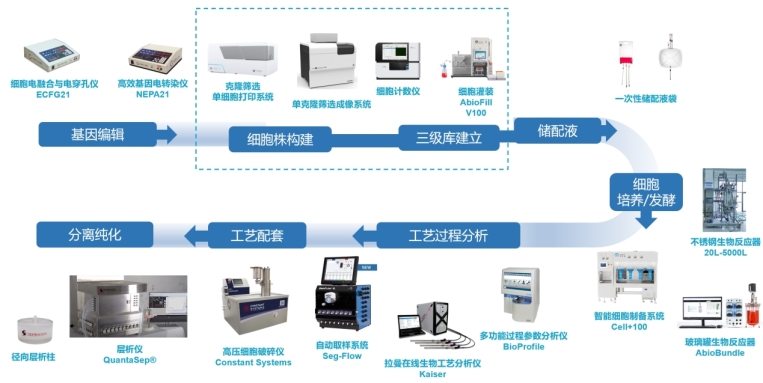 2026细胞治疗合规元年：深度拆解818号令与828号令